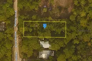 401 N Montigo Ave, Santa Rosa Beach, FL 32459 - Photo 1