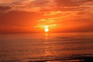 1648 Stickney Point Rd, Sarasota, FL 34231 - Photo 56