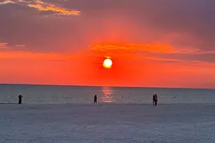 5876 Biscotti St, Nokomis, FL 34275 - Photo 24