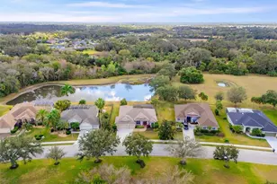 8703 59th St E, Parrish, FL 34219 - Photo 60