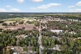 41901 Pine Valley Dr, Paisley, FL 32767 - Photo 4