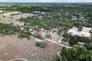 41901 Pine Valley Dr, Paisley, FL 32767 - Photo 12