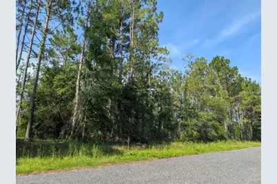 0 88th Trail, Live Oak, FL 32060 - Photo 4