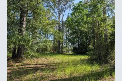 0 88th Trail, Live Oak, FL 32060 - Photo 8