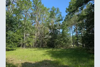 0 88th Trail, Live Oak, FL 32060 - Photo 6