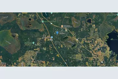 101 SW 6th Street, Micanopy, FL 32667 - Photo 4