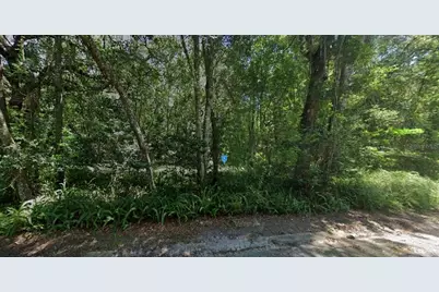 101 SW 6th Street, Micanopy, FL 32667 - Photo 2