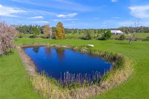 16123 Cutting Horse Trail, Myakka City, FL 34251 - Photo 40