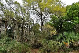 Backert Rd, North Port, FL 34291 - Photo 1