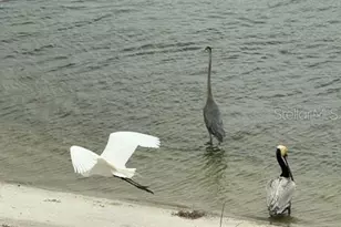 8083 Waterbend Trl, Sarasota, FL 34240 - Photo 50