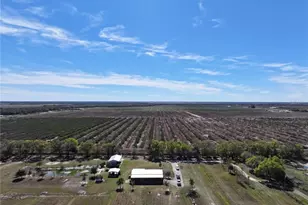 9930 SE Hoth Rd, Arcadia, FL 34266 - Photo 24