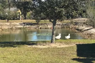 9930 SE Hoth Rd, Arcadia, FL 34266 - Photo 18