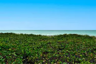 550 Flamingo Dr, Venice, FL 34285 - Photo 32