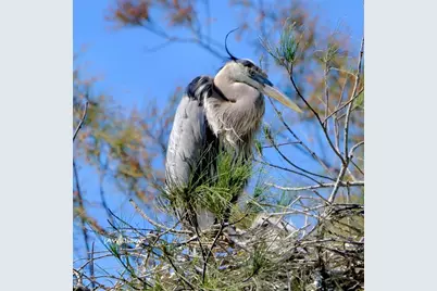 4409 Mount Vernon Drive, Bradenton, FL 34210 - Photo 72
