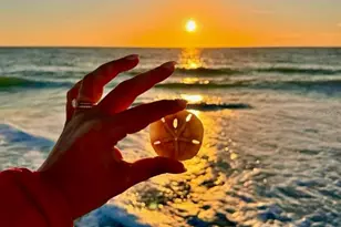 4310 Falmouth Dr, Longboat Key, FL 34228 - Photo 90