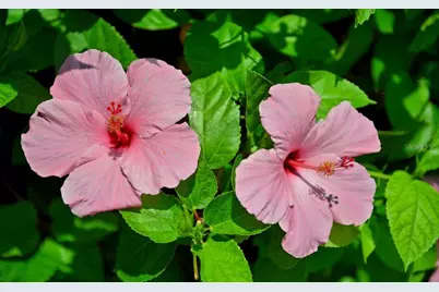 5300 Ocean Boulevard #301, Sarasota, FL 34242 - Photo 42