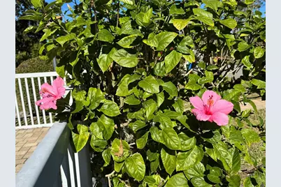 5124 Harpers Croft #7, Sarasota, FL 34235 - Photo 52