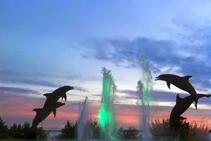 8612 Sundance Loop, Sarasota, FL 34238 - Photo 62