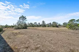 25202 E 61st Ave, Myakka City, FL 34251 - Photo 46