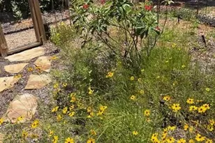 7604 Weeping Willow Cir, Sarasota, FL 34241 - Photo 66