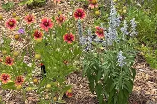 7604 Weeping Willow Cir, Sarasota, FL 34241 - Photo 68