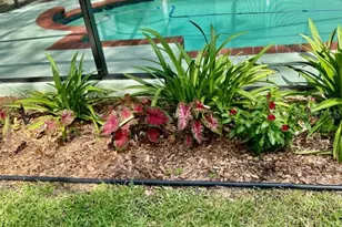 7604 Weeping Willow Cir, Sarasota, FL 34241 - Photo 72