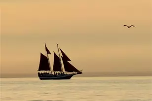 117 140th Ave E, Madeira Beach, FL 33708 - Photo 42