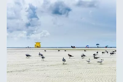 2442 Hively Street, Sarasota, FL 34231 - Photo 70