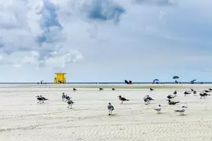 2442 Hively St, Sarasota, FL 34231 - Photo 70