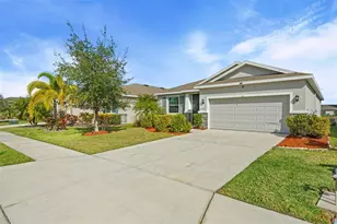 4016 Mossy Limb Ct, Palmetto, FL 34221 - Photo 42