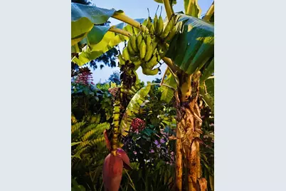 1234 W Ivanhoe Boulevard, Orlando, FL 32804 - Photo 24