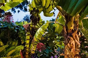 1234 W Ivanhoe Blvd, Orlando, FL 32804 - Photo 24