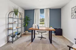 8826 Bahama Mia Ln, Parrish, FL 34219 - Photo 10