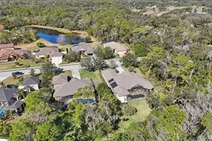 15410 17th Ave E, Bradenton, FL 34212 - Photo 52