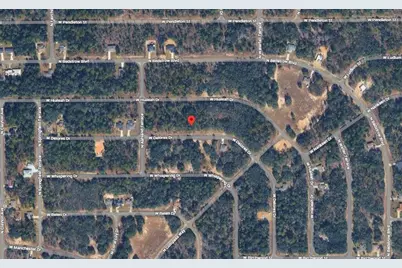 1451 W Dolores Drive, Citrus Springs, FL 34434 - Photo 4