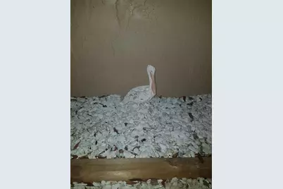 311 58th Avenue E #311, Bradenton, FL 34203 - Photo 34