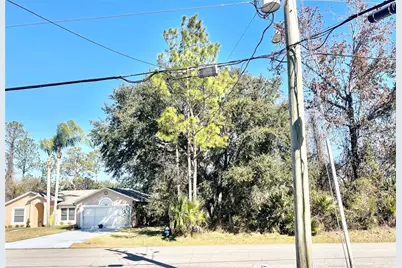 119 Pine Grove Drive, Palm Coast, FL 32164 - Photo 48