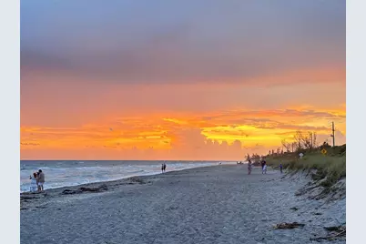 303 Morningside Drive, Palm Harbor, FL 34683 - Photo 12