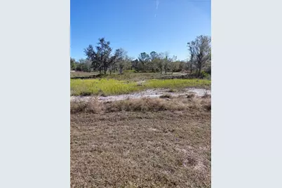 39925 20th Place E, Myakka City, FL 34251 - Photo 2