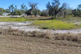 39925 20th Pl E, Myakka City, FL 34251 - Photo 1