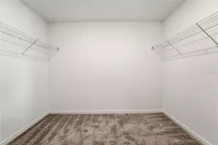 11753 Capstan Pl, Parrish, FL 34219 - Photo 22