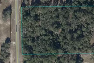 NE 576th St, Old Town, FL 32680 - Photo 1