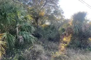 2503 54th St SW, Lehigh Acres, FL 33976 - Photo 6