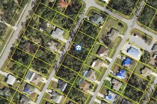 Alibi Terrace, North Port, FL 34286 - Photo 1