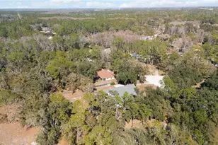 6711 Bonnie Blue Dr, Wesley Chapel, FL 33544 - Photo 54