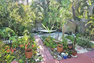 4527 Pike Ave, Sarasota, FL 34233 - Photo 6