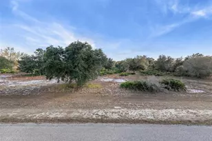 40710 11th Ave E, Myakka City, FL 34251 - Photo 20