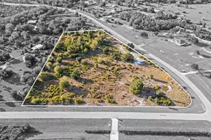 40710 11th Ave E, Myakka City, FL 34251 - Photo 4