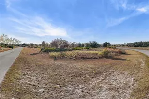 40710 11th Ave E, Myakka City, FL 34251 - Photo 18