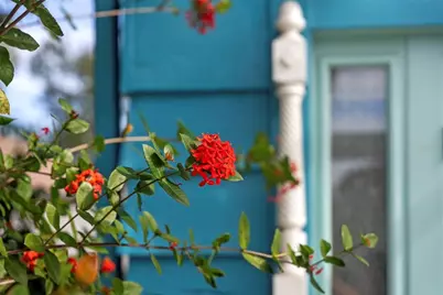 105 Tucker Avenue, Sarasota, FL 34232 - Photo 4